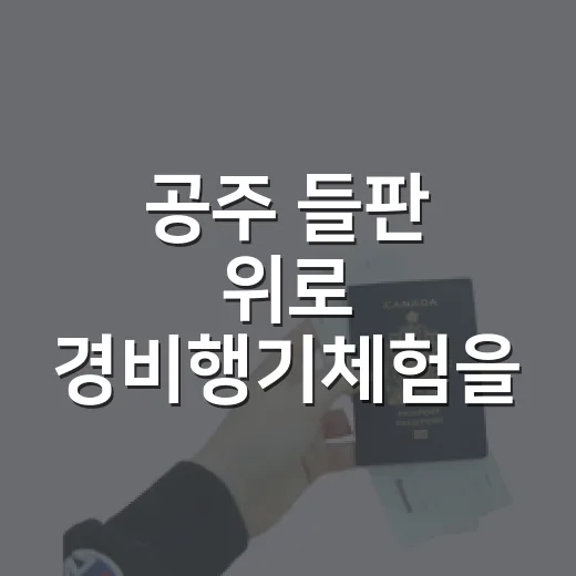 공주 들판 위로 경비행기체험을 직접 해봤더니, 관광지보다 오래 남은 10분 - 요약