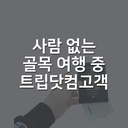 사람 없는 골목 여행 중 트립닷컴고객센터를 직접 눌러봤더니 - 요약
