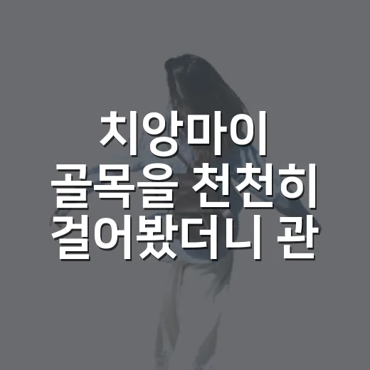 치앙마이 골목을 천천히 걸어봤더니 관광지보다 오래 남은 순간들 - 요약