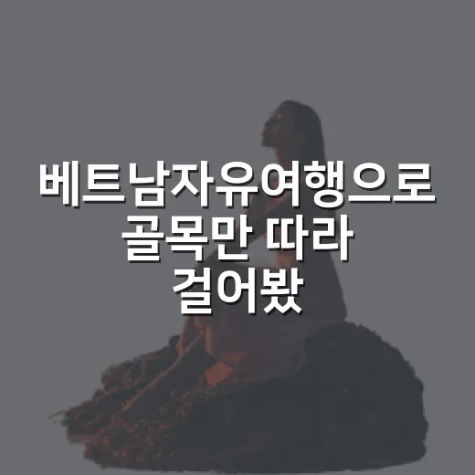 베트남자유여행으로 골목만 따라 걸어봤더니 보인 조용한 얼굴들 - 요약