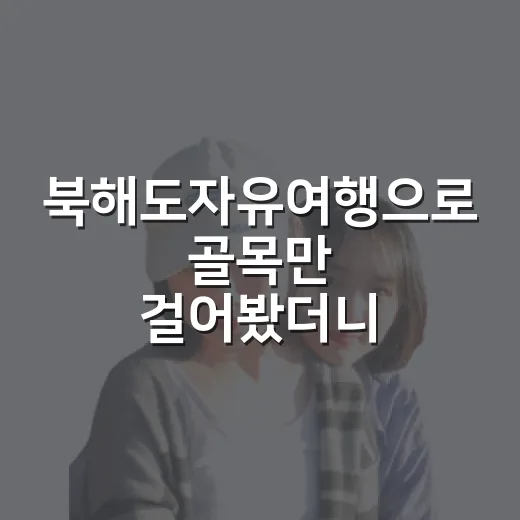 북해도자유여행으로 골목만 걸어봤더니 남은 장면들 - 요약