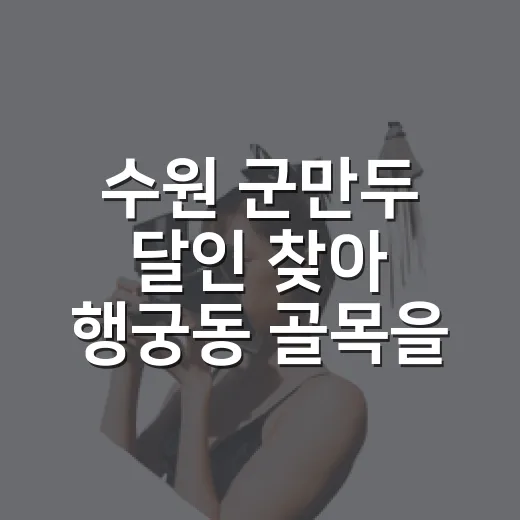 수원 군만두 달인 찾아 행궁동 골목을 걸어봤더니 - 요약