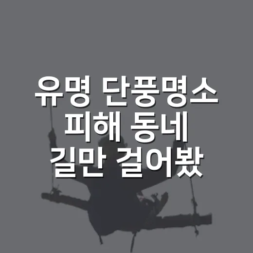 유명 단풍명소 피해 동네 길만 걸어봤더니 남은 가을의 표정 - 요약