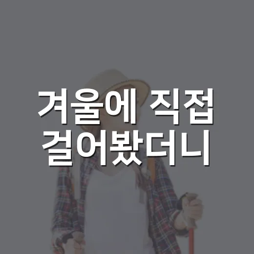 겨울에 직접 걸어봤더니, 붐비지 않아 더 오래 남은 국내 겨울 여행지 추천 - 요약