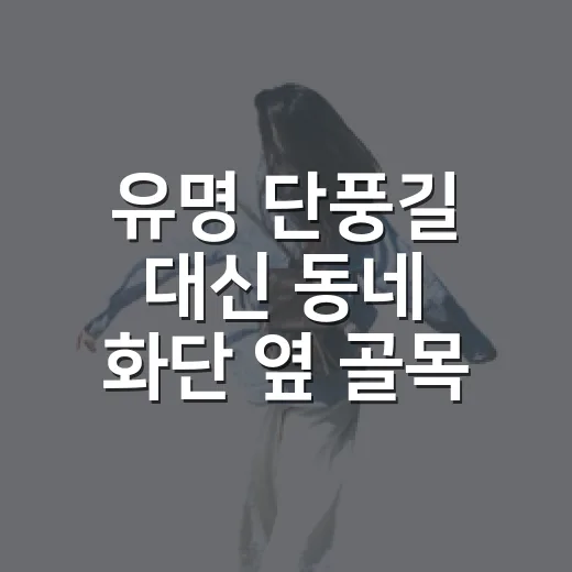 유명 단풍길 대신 동네 화단 옆 골목을 걸어봤더니 보인 가을 - 요약