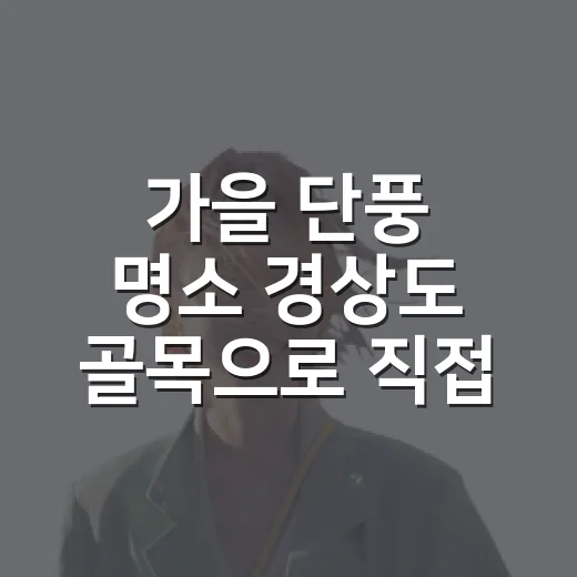 가을 단풍 명소 경상도 골목으로 직접 걸어봤더니, 조용한 색은 따로 있었다 - 요약