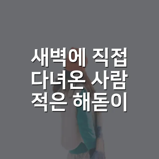 새벽에 직접 다녀온 사람 적은 해돋이 명소의 진짜 분위기 - 요약
