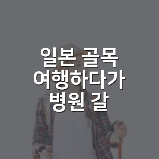 일본 골목 여행하다가 병원 갈 뻔해서 알게 된 일본여행자보험 이야기 - 요약