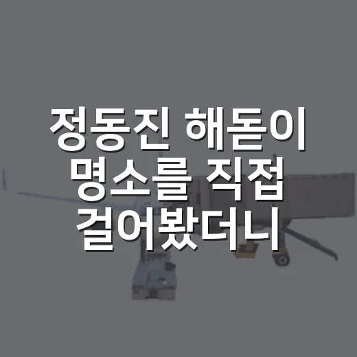 정동진 해돋이 명소를 직접 걸어봤더니, 붐비는 바다 옆에 조용한 아침이 있었다 - 요약