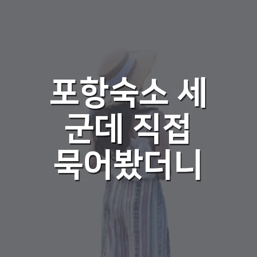 포항숙소 세 군데 직접 묵어봤더니, 바다보다 동네가 먼저 보였다 - 요약
