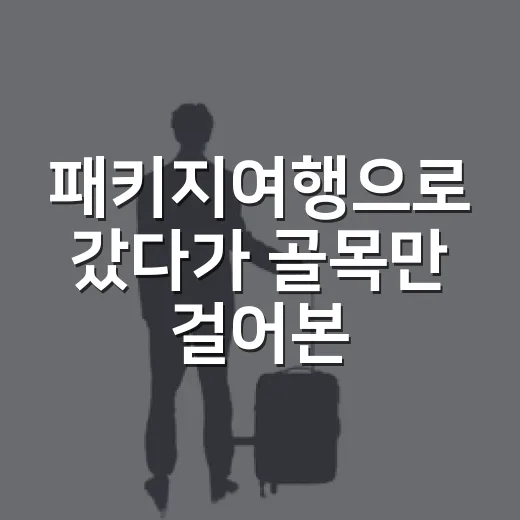 패키지여행으로 갔다가 골목만 걸어본 사람의 진짜 후기 - 요약