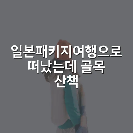 일본패키지여행으로 떠났는데 골목 산책이 더 오래 남았던 이야기 - 요약