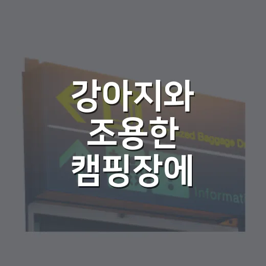 강아지와 조용한 캠핑장에 다녀왔더니, 밤 산책이 제일 오래 남았다 - 요약