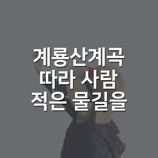 계룡산계곡 따라 사람 적은 물길을 걸어봤더니 - 요약