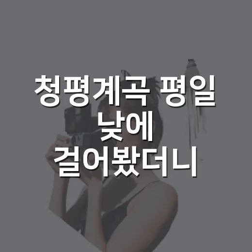 청평계곡 평일 낮에 걸어봤더니, 생각보다 조용했던 물길 이야기 - 요약
