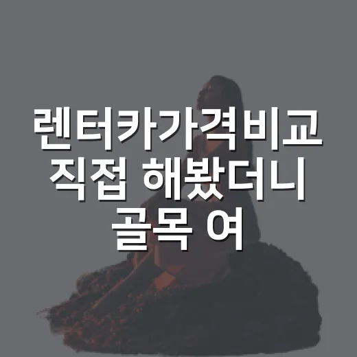 렌터카가격비교 직접 해봤더니 골목 여행 예산이 달라졌다 - 요약