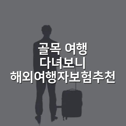 골목 여행 다녀보니 해외여행자보험추천은 싼 순서가 아니었다 - 요약