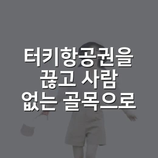 터키항공권을 끊고 사람 없는 골목으로 들어가봤더니 - 요약