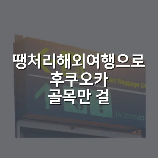 땡처리해외여행으로 후쿠오카 골목만 걸어봤더니 - 요약