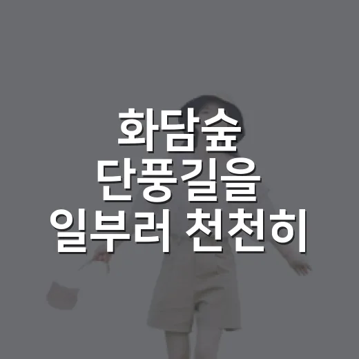 화담숲 단풍길을 일부러 천천히 걸어봤더니 보인 장면들 - 요약