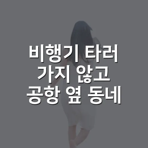 비행기 타러 가지 않고 공항 옆 동네를 걸어봤더니 - 요약