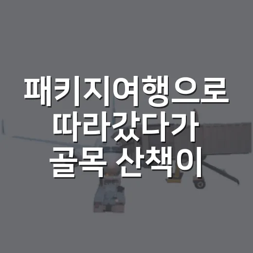 패키지여행으로 따라갔다가 골목 산책이 더 오래 남았던 날 - 요약