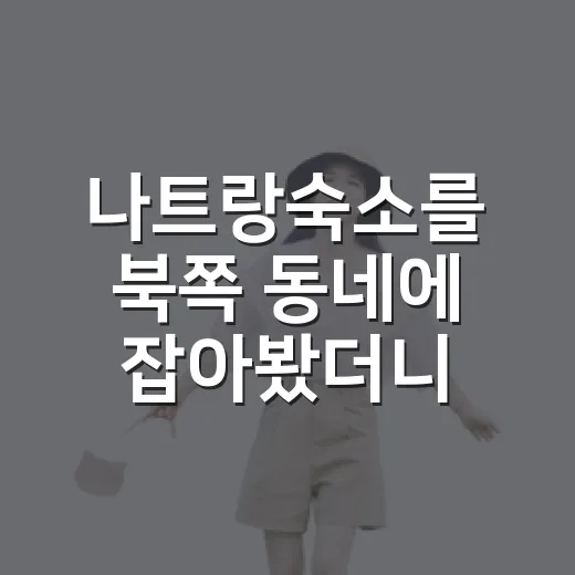 나트랑숙소를 북쪽 동네에 잡아봤더니 바다가 조금 다르게 보였다 - 요약