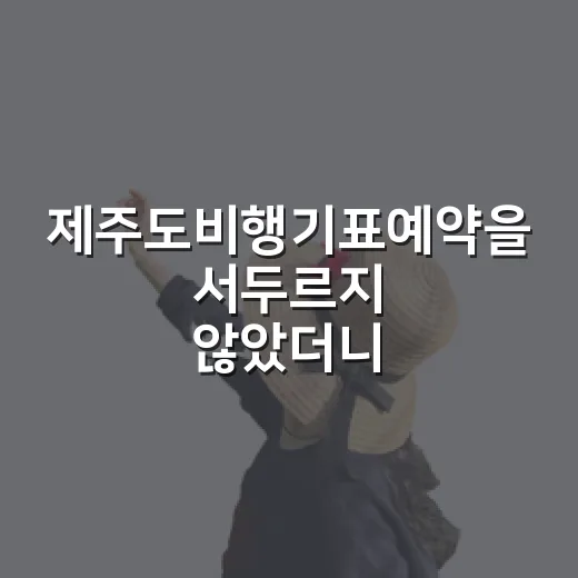 제주도비행기표예약을 서두르지 않았더니 보였던 조용한 시간들 - 요약