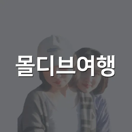 몰디브여행, 리조트 대신 조용한 동네 섬을 걸어봤더니 - 요약