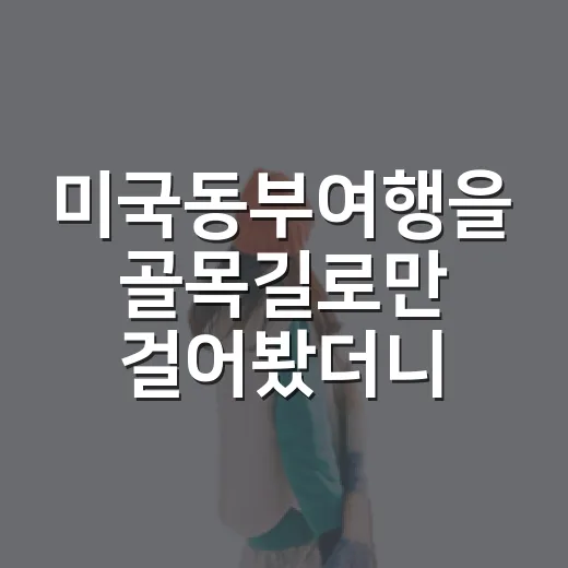 미국동부여행을 골목길로만 걸어봤더니 남은 장면들 - 요약