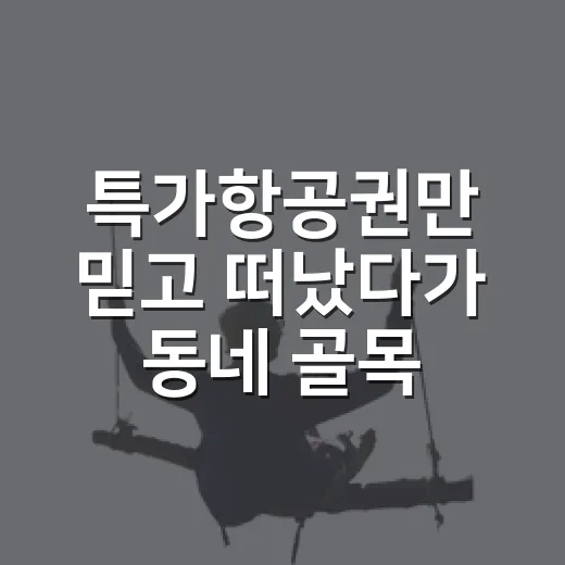 특가항공권만 믿고 떠났다가 동네 골목이 더 좋아진 이야기 - 요약