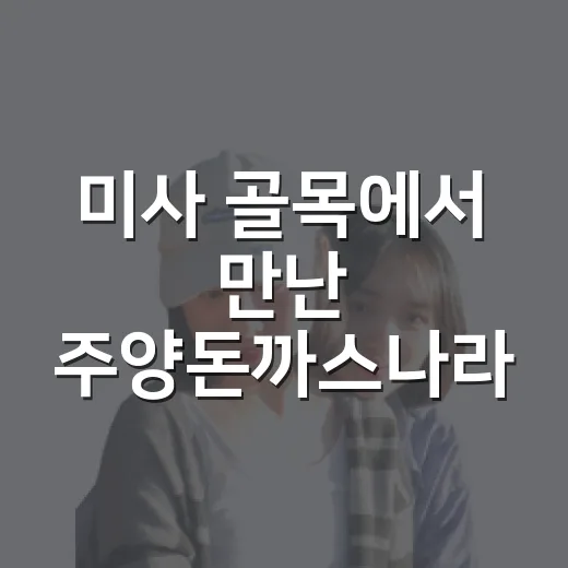 미사 골목에서 만난 주양돈까스나라, 조용한 평일 점심의 옛날 돈까스 후기 - 요약