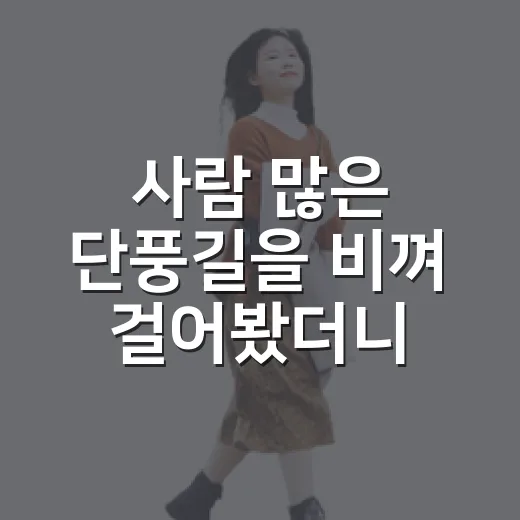 사람 많은 단풍길을 비껴 걸어봤더니 보인 가을 동네들 - 요약