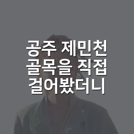 공주 제민천 골목을 직접 걸어봤더니, 유명한 곳 옆에 더 조용한 국내여행지가 있었다 - 요약