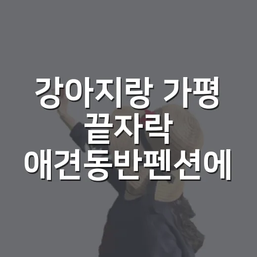 강아지랑 가평 끝자락 애견동반펜션에 묵어봤더니, 조용한 밤이 먼저 남았다 - 요약