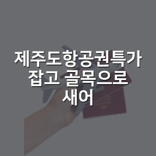 제주도항공권특가 잡고 골목으로 새어 나가봤더니 보인 것들 - 요약