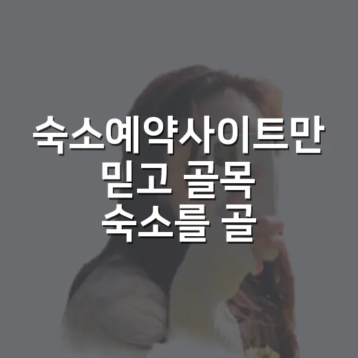 숙소예약사이트만 믿고 골목 숙소를 골랐더니 달라진 여행 후기 - 요약