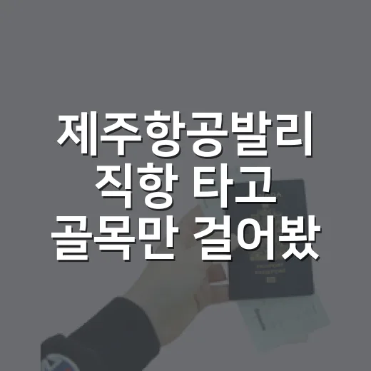 제주항공발리 직항 타고 골목만 걸어봤더니 보인 조용한 발리 - 요약