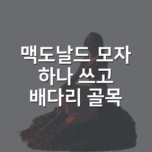 맥도날드 모자 하나 쓰고 배다리 골목을 걸어봤더니 - 요약