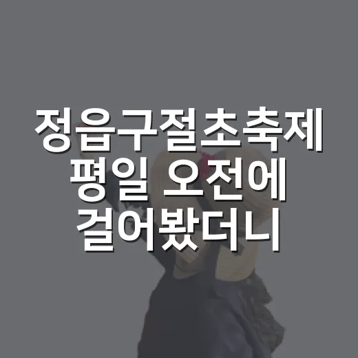 정읍구절초축제 평일 오전에 걸어봤더니, 축제보다 산책에 가까웠다 - 요약