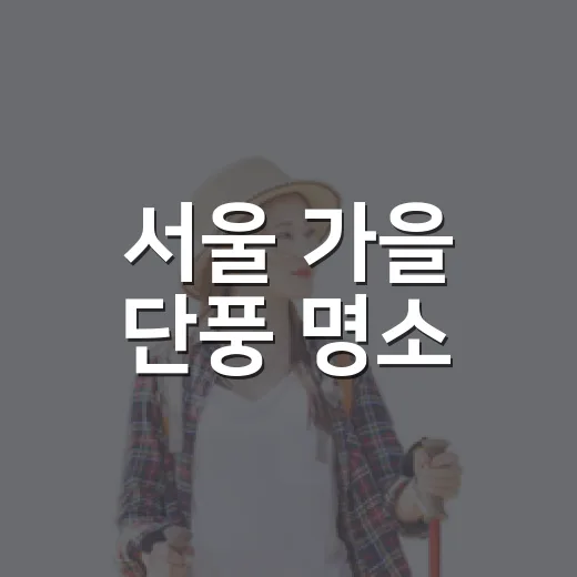 서울 가을 단풍 명소, 사람 적은 길만 골라 걸어봤더니 - 요약