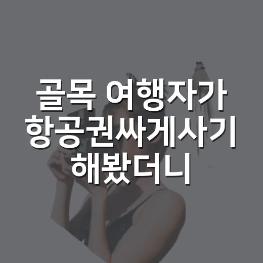 골목 여행자가 항공권싸게사기 해봤더니 달라진 예약 습관 - 요약