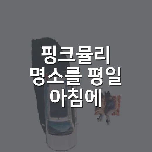 핑크뮬리 명소를 평일 아침에 걸어봤더니, 사진보다 동네 공기가 오래 남았다 - 요약