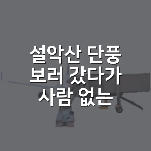 설악산 단풍 보러 갔다가 사람 없는 길만 골라 걸어본 후기 - 요약