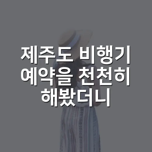 제주도 비행기 예약을 천천히 해봤더니 보인 조용한 여행의 시간 - 요약