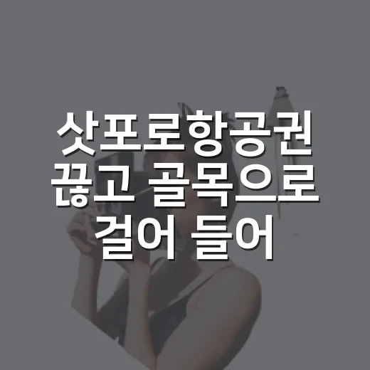 삿포로항공권 끊고 골목으로 걸어 들어가 봤더니 알게 된 것들 - 요약