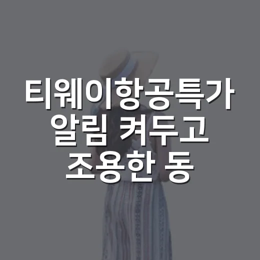 티웨이항공특가 알림 켜두고 조용한 동네 여행을 다녀와봤더니 - 요약