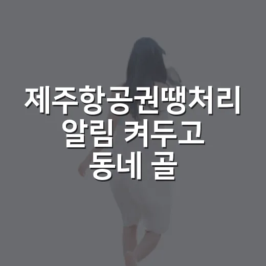 제주항공권땡처리 알림 켜두고 동네 골목 여행 다녀온 후기 - 요약