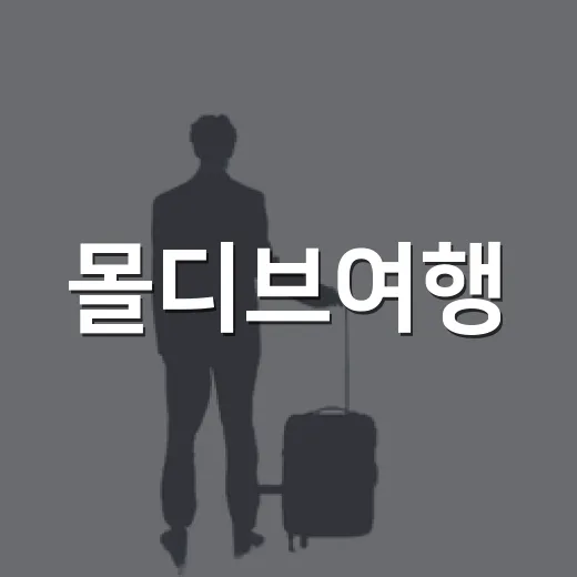 몰디브여행, 리조트 대신 로컬섬 골목으로 걸어 들어가 봤더니 - 요약