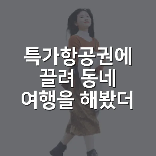 특가항공권에 끌려 동네 여행을 해봤더니 보인 것들 - 요약